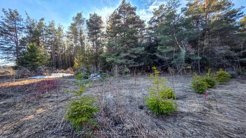 6382 5th Line, Fergus, ON, N1M2W5 | Card Image