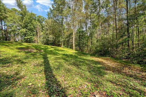 0 County Road 1268, Falkville, AL, 35622 | Card Image