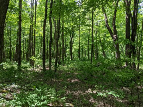 17 Old Homestead Ln, South Kent, CT, 06785-1037 | Card Image