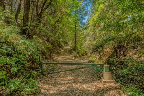 18200 Chesters Pl, Pine Grove, CA, 95665-9520 | Card Image