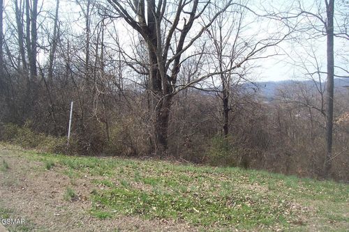 142 Low Vly, Dandridge, TN, 37725 | Card Image