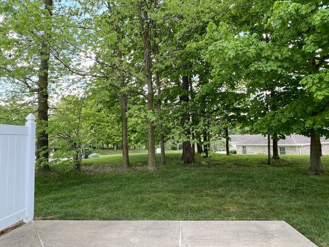 Back yard | Image 5