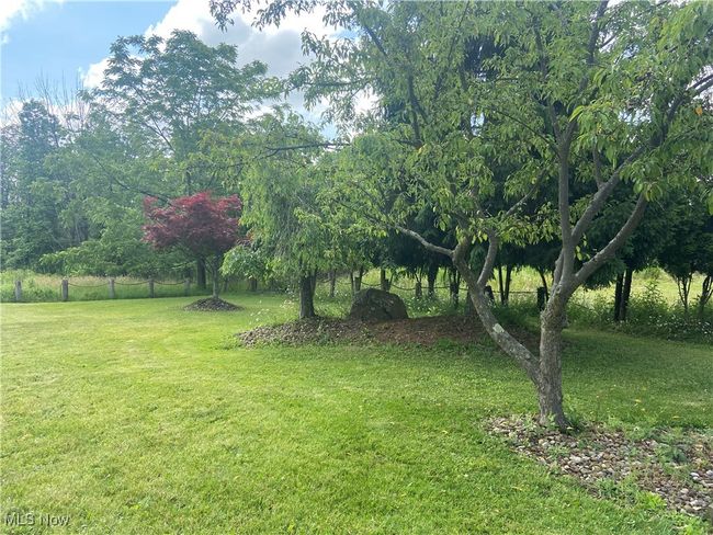 Back yard. | Image 26