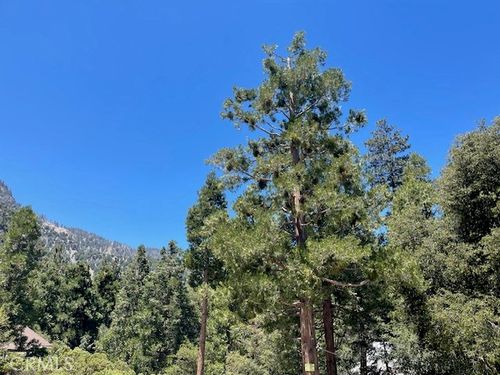 41489 Island Dr, Forest Falls, CA, 92339-9646 | Card Image