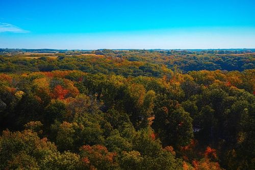 6.69 Acres River Road, Clayton, WI, 54655 | Card Image