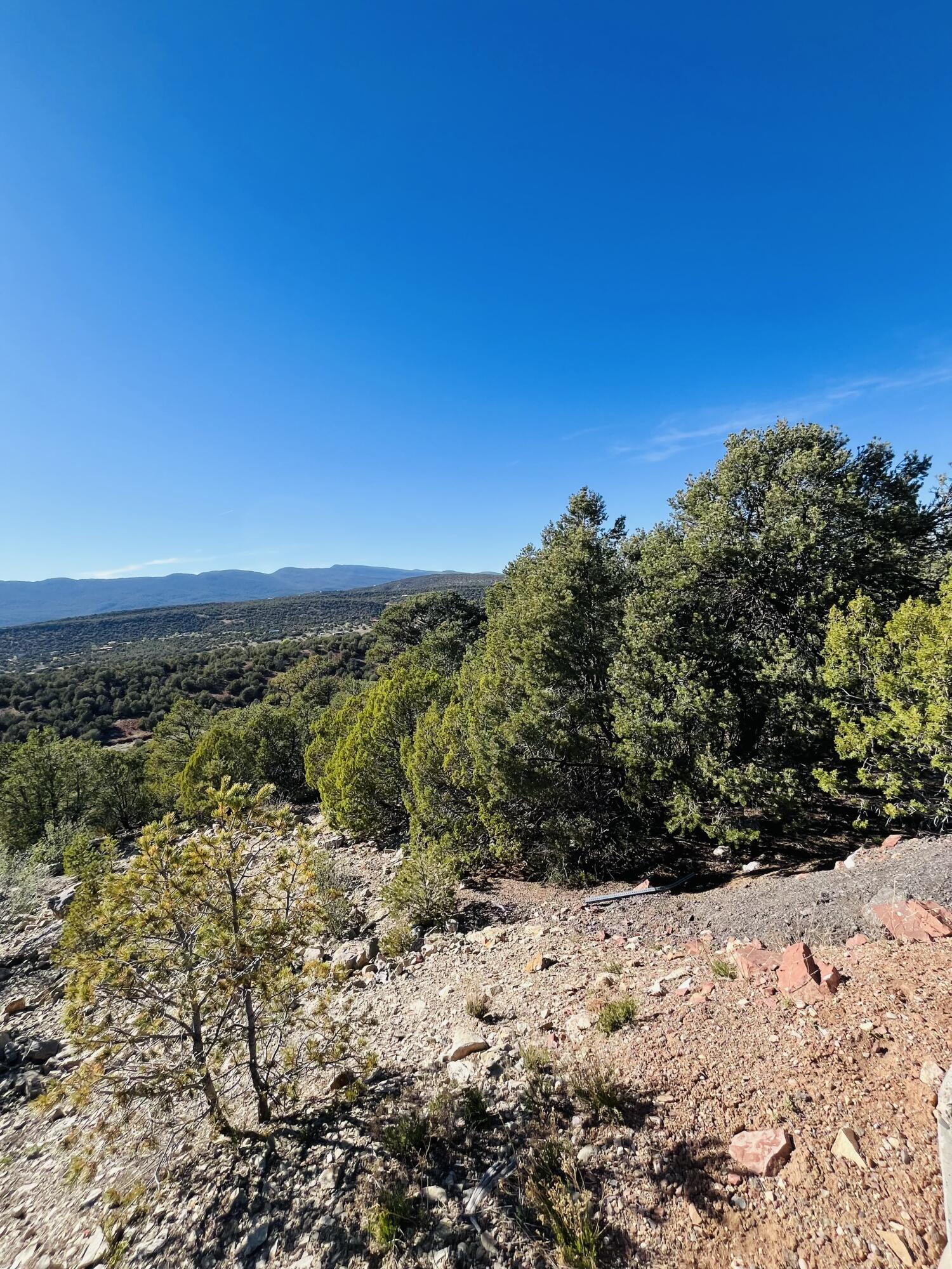 Land in Tijeras 5