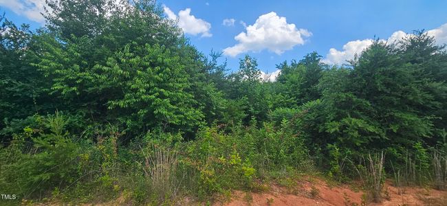 20240613_151629 | Image 26