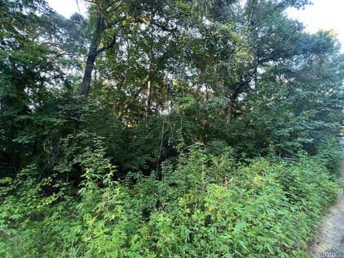 TBD Cottonwood Trl, Gilmer, TX, 75645 | Card Image