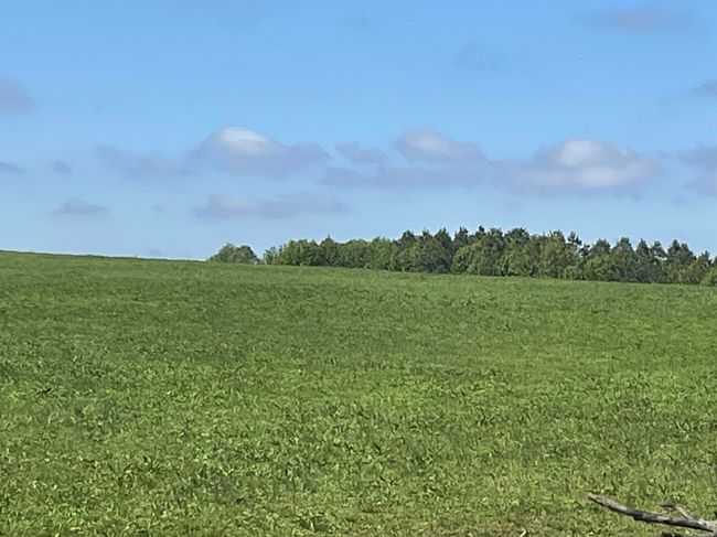 LOT-4 - 935 lot 4 Goff Rd, Home with 0 bedrooms, 0 bathrooms and null parking in Quitman AR | Image 4