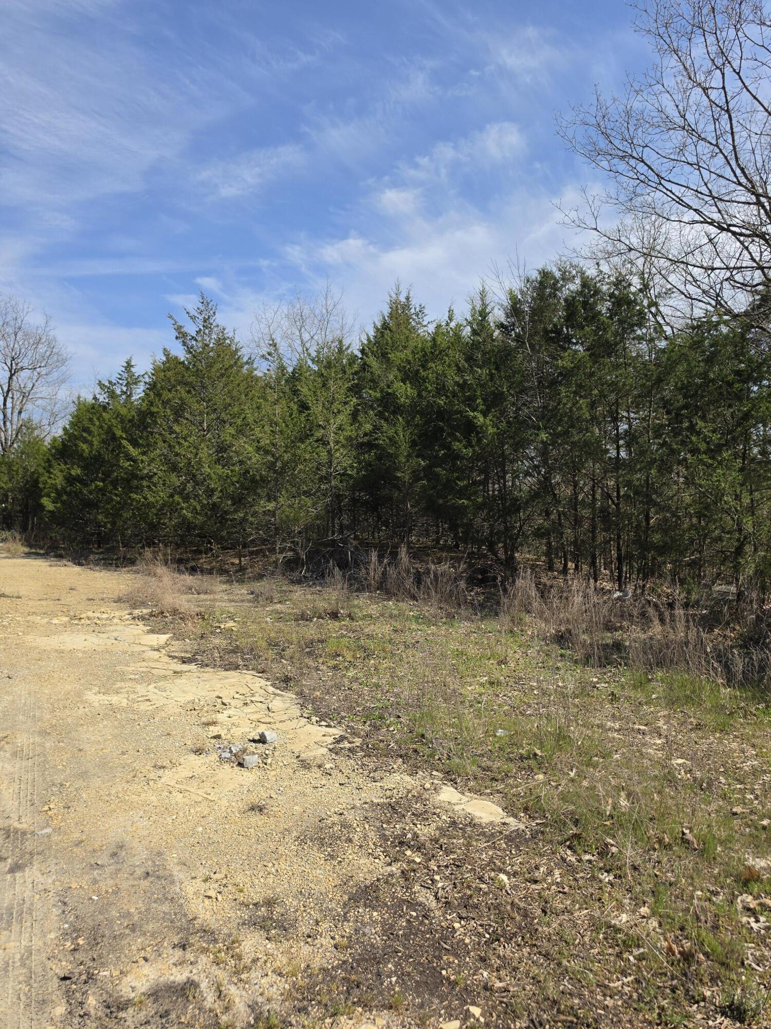 Land in Branson 3