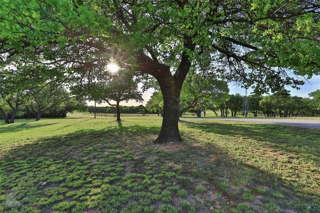 Mature oak trees and windmill with the sunlight filtering through the branches | Image 32