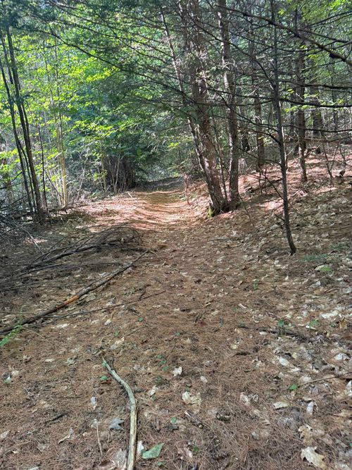 60 Pound Rd, Sanbornton, NH, 03269-2025 | Card Image