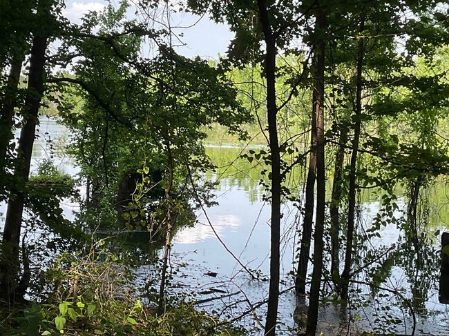 1602 Lake Cliff Rd, House other with 3 bedrooms, 2 bathrooms and null parking in Higden AR | Image 7