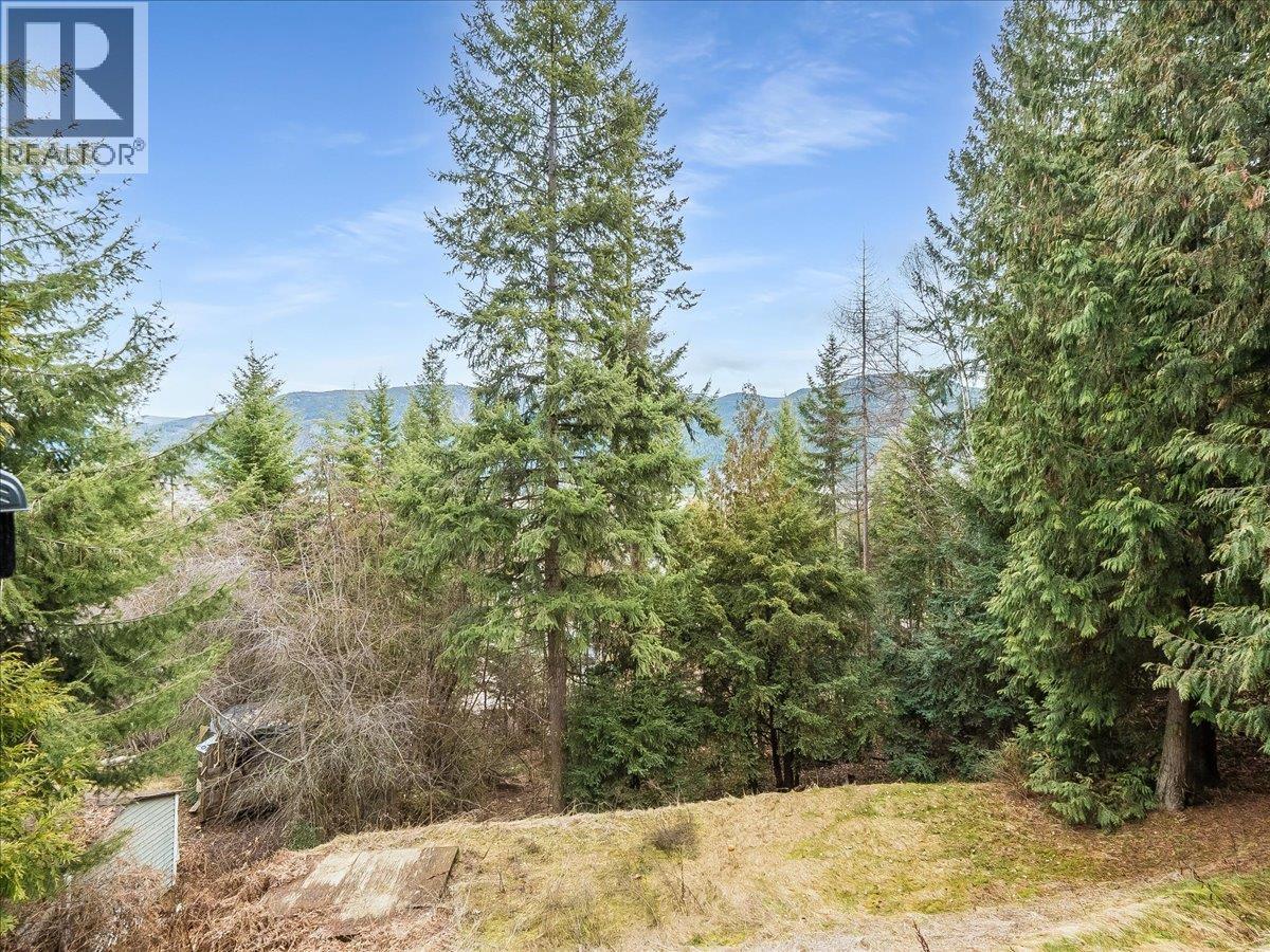Residential in Castlegar 4