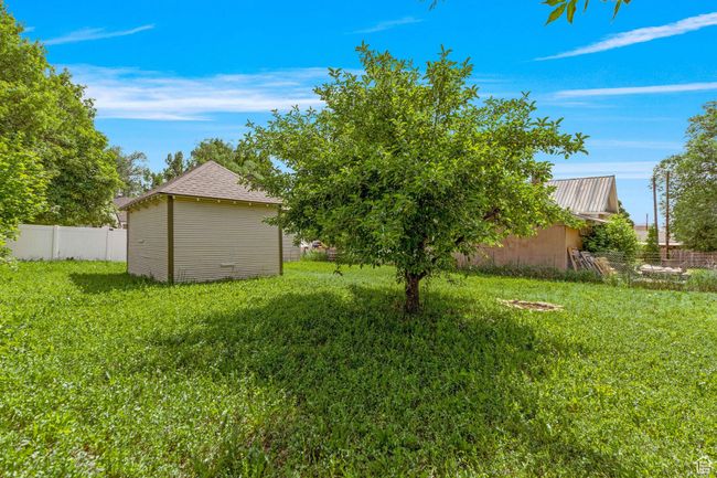 View of yard | Image 21
