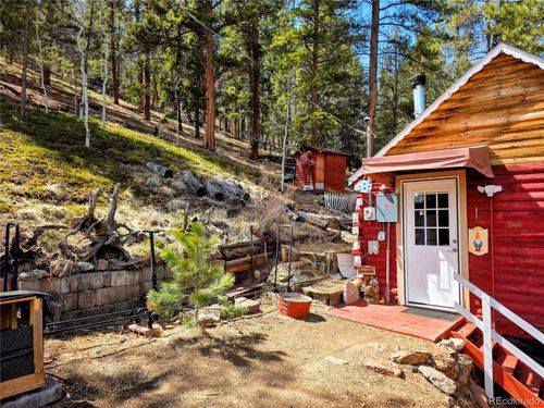 163 Ward St, Bailey, CO, 80421-1427 | Card Image