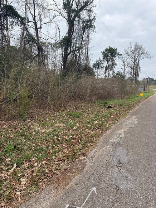 6 Idle Glen Roadway, New Caney, TX, 77357 | Card Image