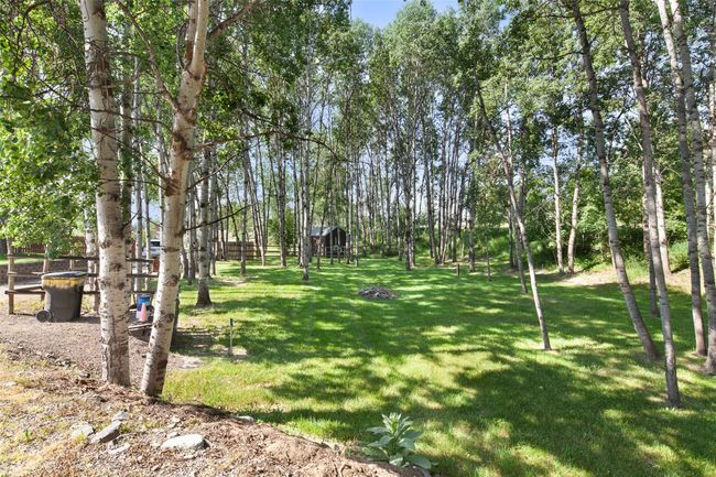 View of wooded area | Image 56
