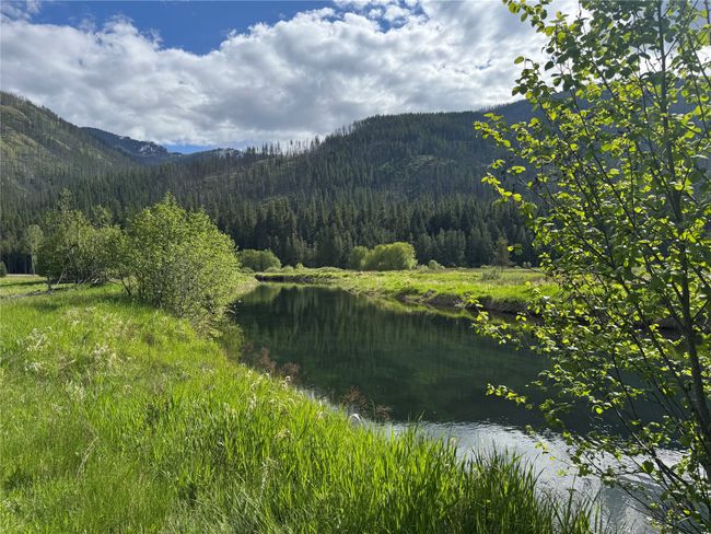 Bull River | Image 45