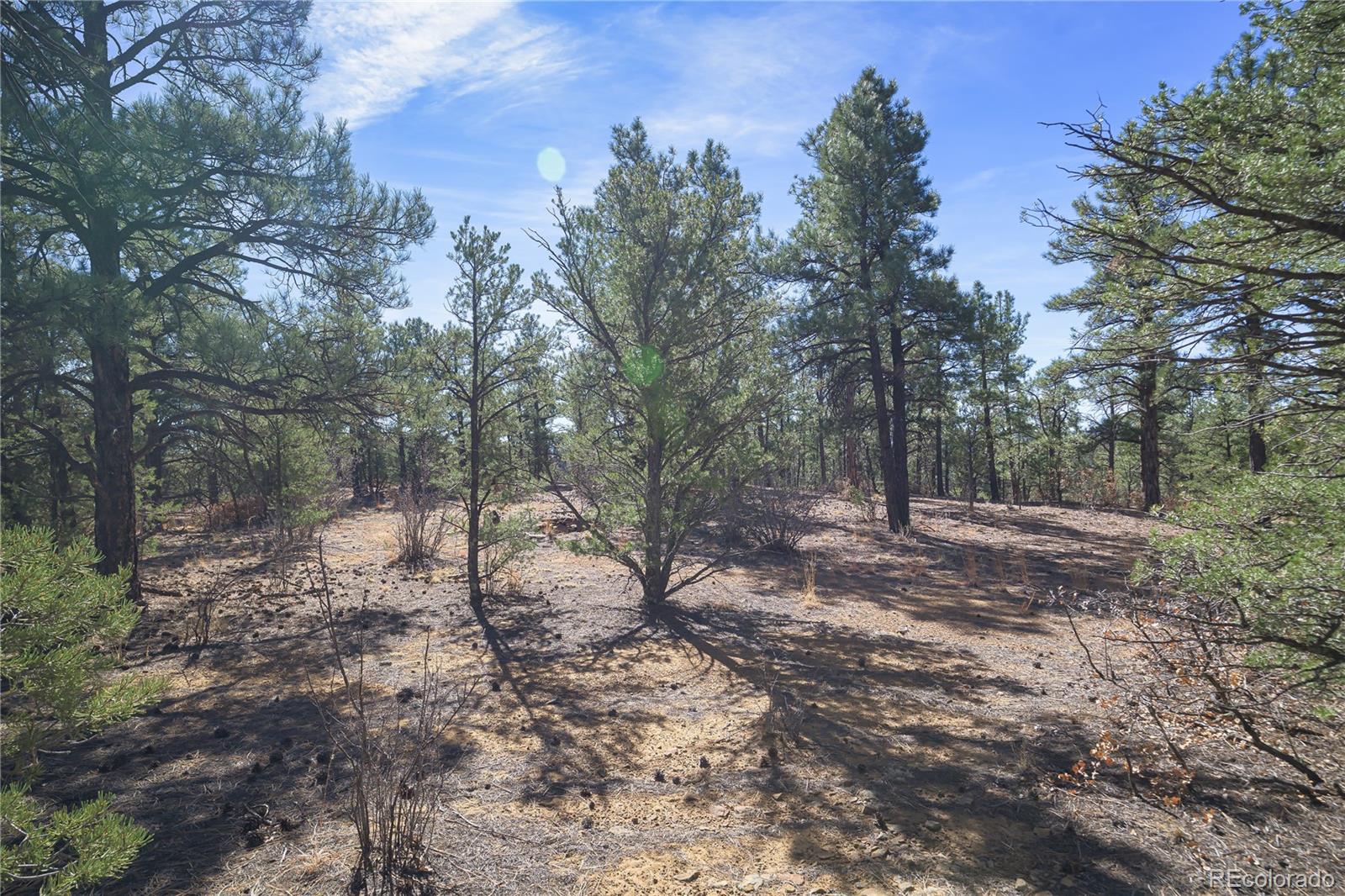 Land in Weston 2
