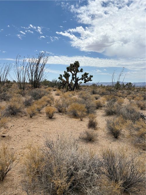 244-08-203 Organ Pipe Pl, Yucca, AZ, 86438 | Card Image