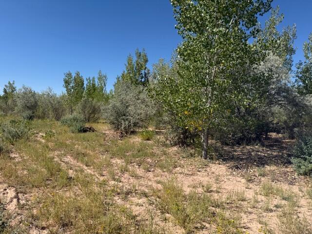 Land in Cedar City 3