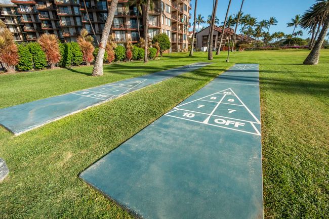 APT-301 - 938 S Kihei Rd, Condo with 1 bedrooms, 1 bathrooms and null parking in Kihei HI | Image 11