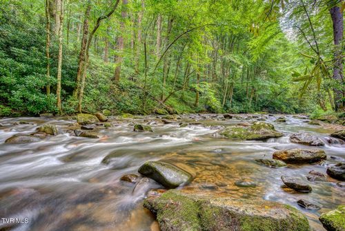 206 Toms Creek Dr, Roan Mountain, TN, 37687 | Card Image