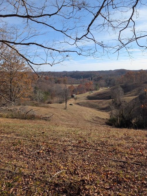 1195 Bigstone Rd, Sandy Hook, KY, 41171-7300 | Card Image