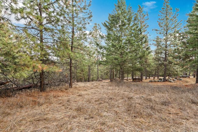 435 Windsor Dr, Home with 0 bedrooms, 0 bathrooms and null parking in Bigfork MT | Image 4