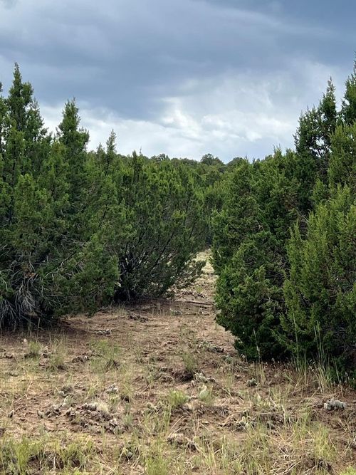 0 Sunrise Rd, Walsenburg, CO, 81089 | Card Image