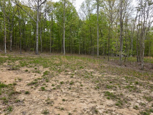 0 Deerwood Dr, Home with 0 bedrooms, 0 bathrooms and null parking in Sewanee TN | Image 24