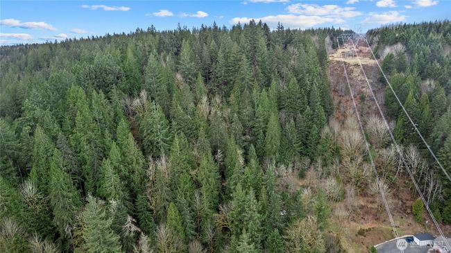 7801 Tolt River Rd Ne, Home with 0 bedrooms, 0 bathrooms and null parking in Carnation WA | Image 17