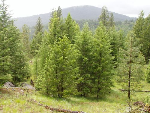 0 XXX N Turner Lake Rd, Tonasket, WA, 98855 | Card Image