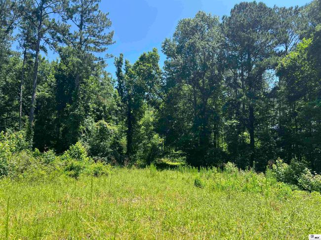 000 Highway 146, Home with 0 bedrooms, 0 bathrooms and null parking in Ruston LA | Image 7