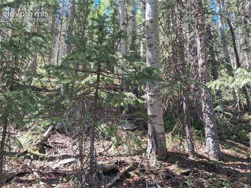 2462 Anges Dr, Cripple Creek, CO, 80813 | Card Image