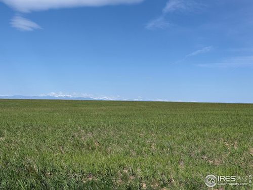1 County Road 15, Carr, CO, 80612 | Card Image