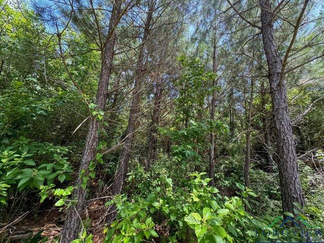 0000 Cr 1782, Home with 0 bedrooms, 0 bathrooms and null parking in Linden TX | Image 22