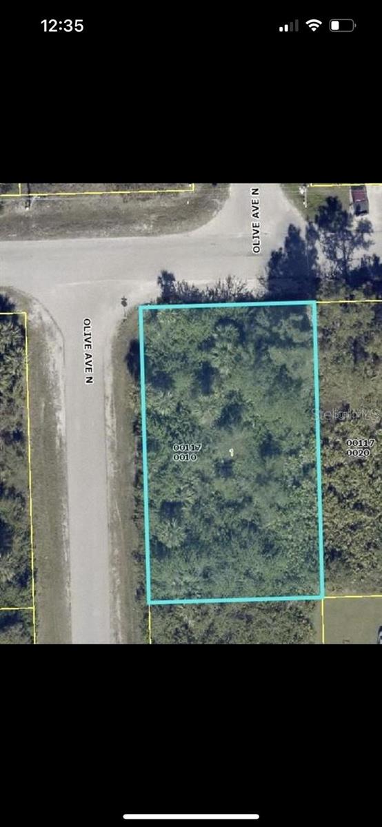 Land in LEHIGH ACRES 3