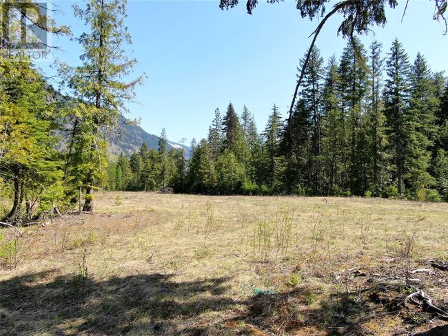 3809 Passmore Upper Rd, Home with 0 bedrooms, 0 bathrooms and null parking in Passmore BC | Image 8