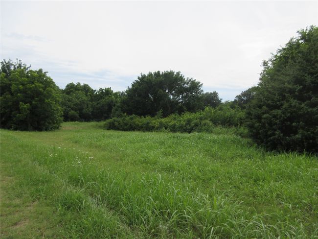 View of nature | Image 7