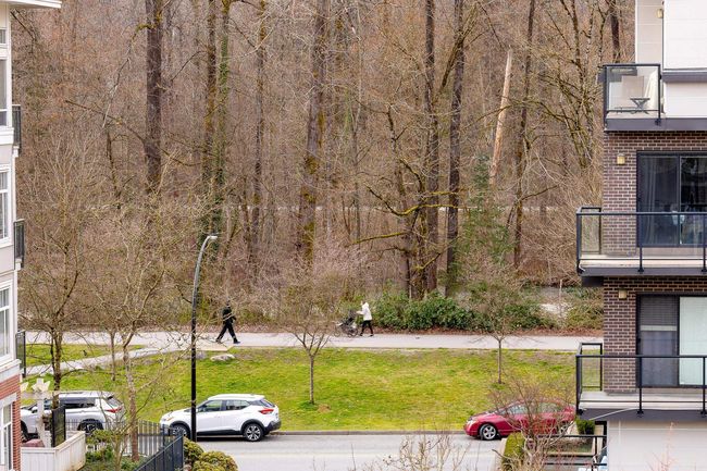 View towards the Coquitlam River Trail | Image 38