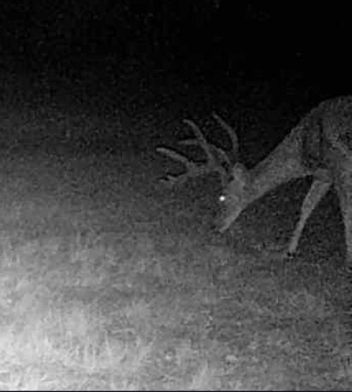 5860 County Road 423, Cisco, TX, 76437-7863 | Card Image