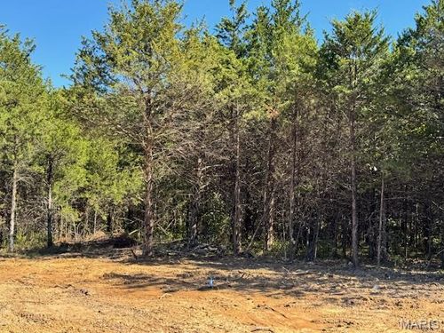 107 Anna Ct, Wright City, MO, 63390-2819 | Card Image