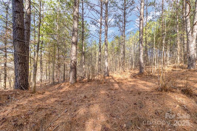 100 Riverview Dr, Home with 0 bedrooms, 0 bathrooms and null parking in Mooresboro NC | Image 4