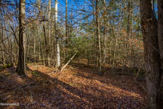 0 Goose Pond Rd, Home with 0 bedrooms, 0 bathrooms and null parking in Tyringham MA | Image 14