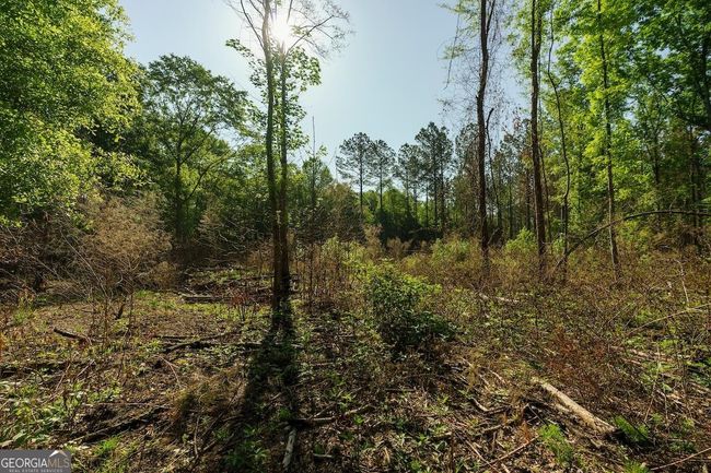 6053 Sun Hill Grange Rd, Home with 0 bedrooms, 0 bathrooms and null parking in Davisboro GA | Image 12