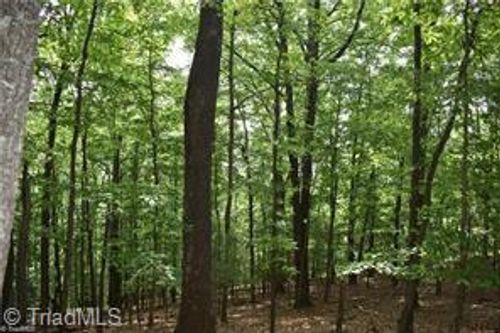 000 Greenstreet Dr, Traphill, NC, 28685 | Card Image