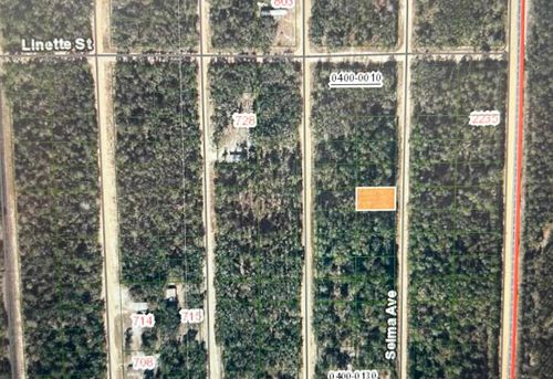 0B Selma Ave, Interlachen, FL, 32148 | Card Image