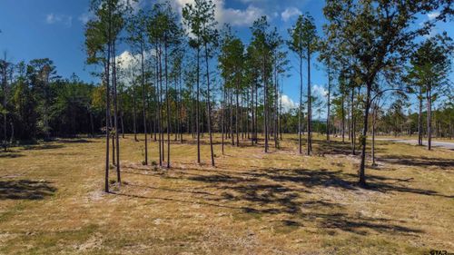 15922 Aniston Ln, Flint, TX, 75762 | Card Image